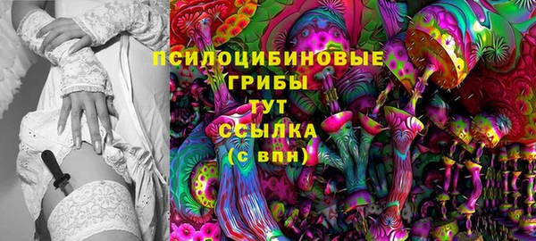 спиды Вязники