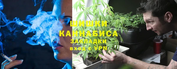 эйфоретик Вяземский