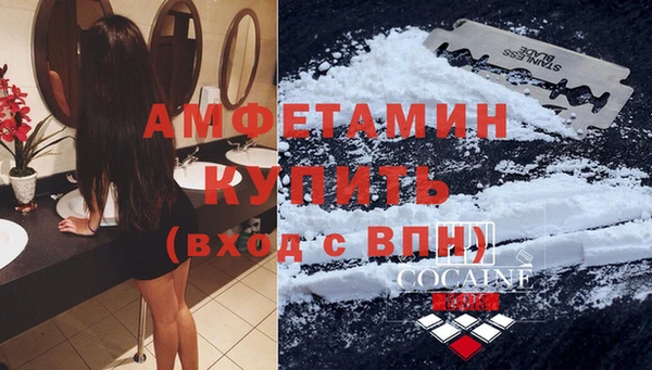 эйфоретик Вяземский