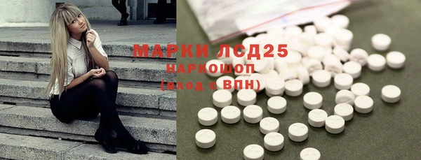 эйфоретик Вяземский