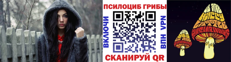 Псилоцибиновые грибы ЛСД  Купить где  Краснозаводск 